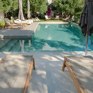 https://maison-elea.hotelschalkidiki.net